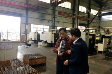 集團公司黨委書記、董事長何克明考察湖南飛沃新能源