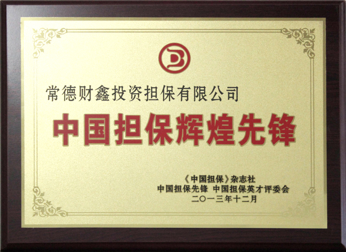 中國擔(dān)保輝煌先鋒.JPG