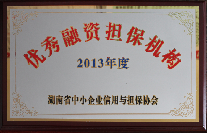 2013年度優(yōu)秀融資擔(dān)保機(jī)構(gòu).JPG