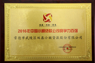 “中國(guó)小微百?gòu)?qiáng)”雙鑫小貸再獲殊榮