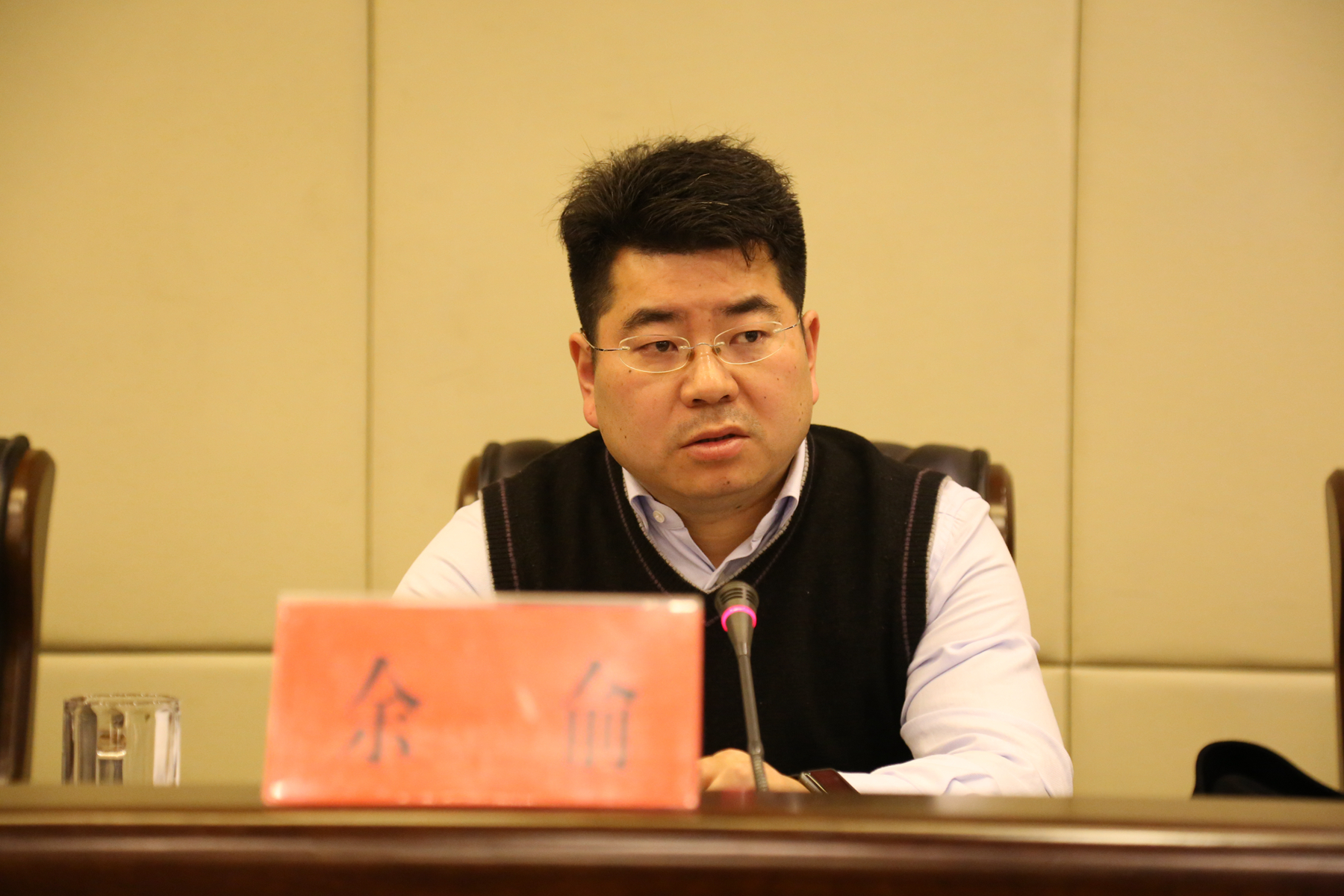 集團(tuán)公司黨委書記、董事長(zhǎng)余俞做動(dòng)員講話.JPG