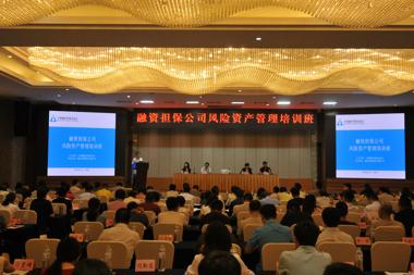 中國融資擔保業(yè)協(xié)會在重慶舉辦融資擔保公司風險資產(chǎn)管理培訓班