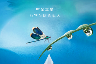 【溫暖?財(cái)鑫】立夏初至，萬物長(zhǎng)大