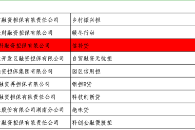 財科擔(dān)?！靶叛a貸”產(chǎn)品獲2022年湖南省融資創(chuàng)新考評獎勵