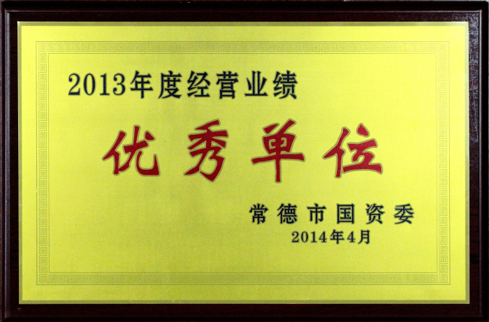 2013年度經(jīng)營(yíng)業(yè)績(jī)優(yōu)秀單位.JPG