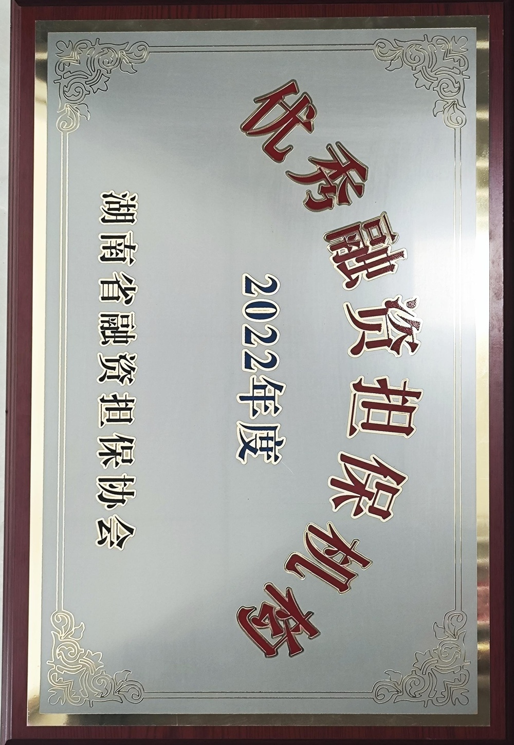 2022年度優(yōu)秀融資擔(dān)保機構(gòu)