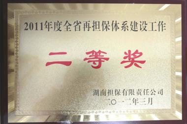 2011年度全省再擔(dān)保體系建設(shè)工作二等獎(jiǎng)