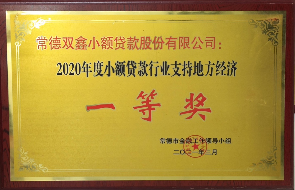 常德雙鑫小額貸款股份有限公司：2020年度融資擔(dān)保行業(yè)支持地方經(jīng)濟(jì)一等獎(jiǎng)