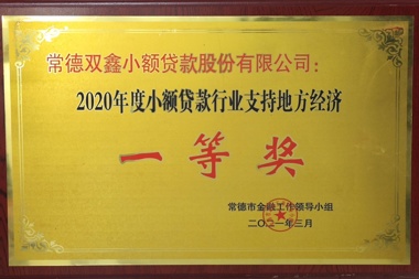 2020年度融資擔保行業(yè)支持地方經(jīng)濟一等獎—常德雙鑫小額貸款股份有限公司