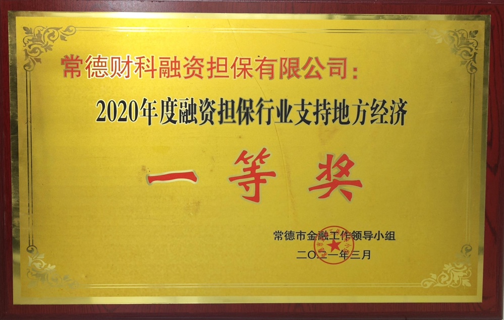 常德財(cái)科融資擔(dān)保有限公司：2020年度融資擔(dān)保行業(yè)支持地方經(jīng)濟(jì)一等獎