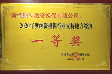2020年度融資擔保行業(yè)支持地方經(jīng)濟一等獎—常德財科融資擔保有限公司