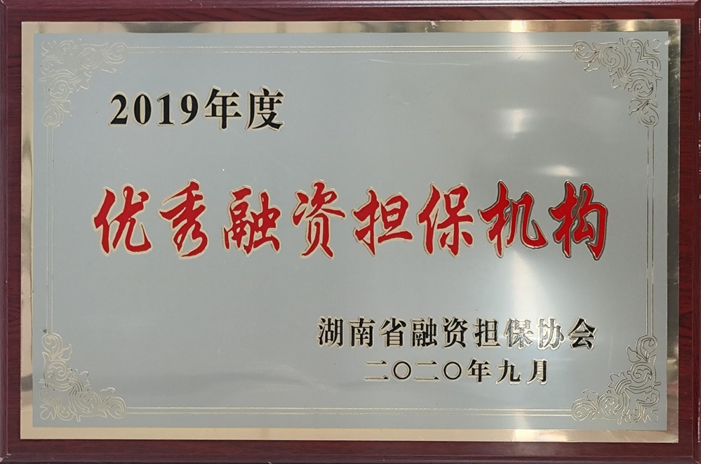 2019年度優(yōu)秀融資擔保機構