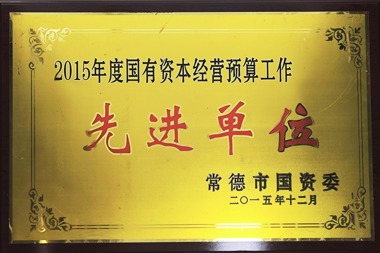 2015年度國有資本經(jīng)營預(yù)算工作先進(jìn)單位