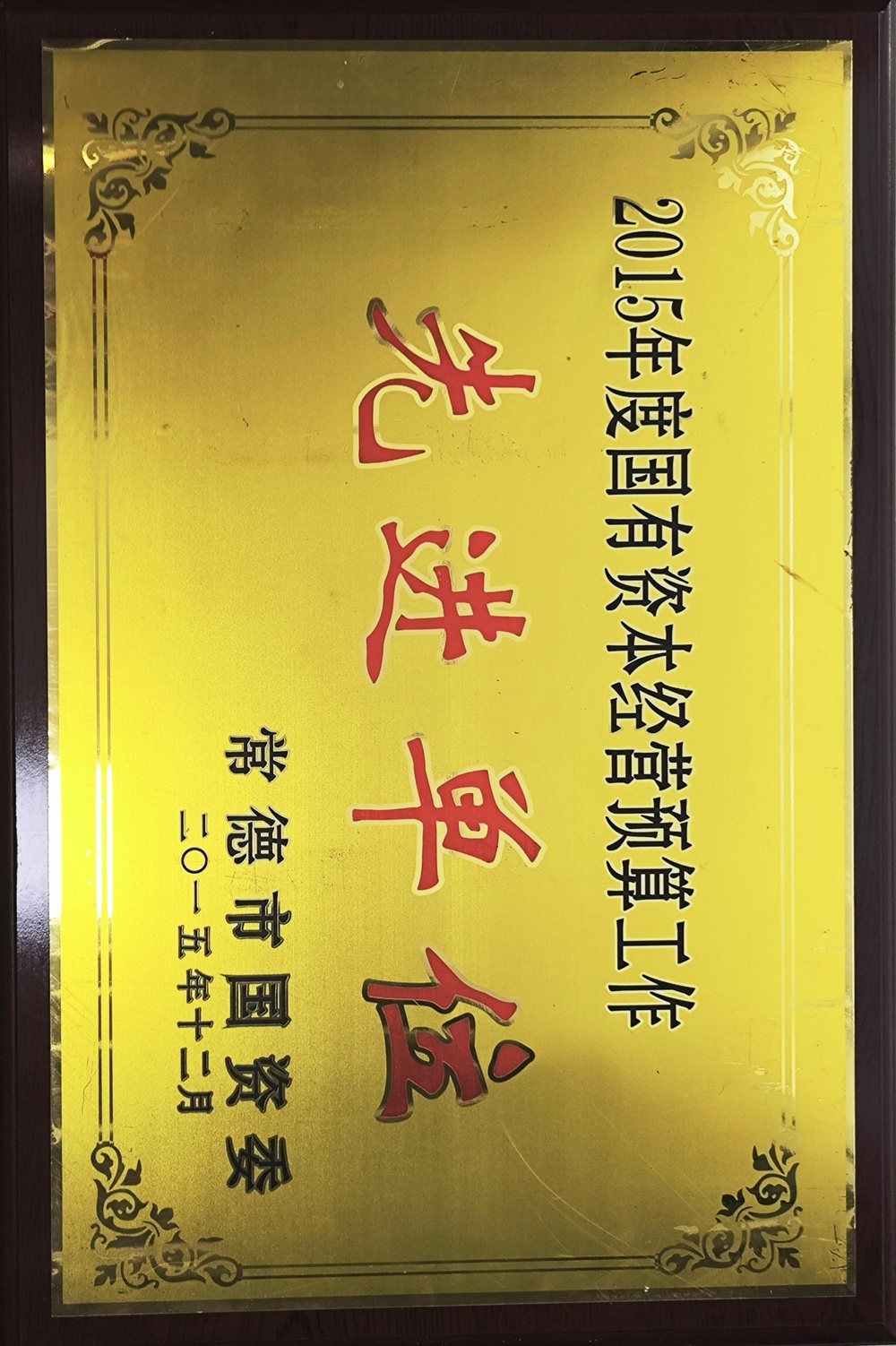 2015年度國有資本經(jīng)營預(yù)算工作先進(jìn)單位
