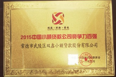 2015中國小額貸款公司競(jìng)爭(zhēng)力百強(qiáng)—常德市武陵區(qū)雙鑫小額貸款股份有限公司