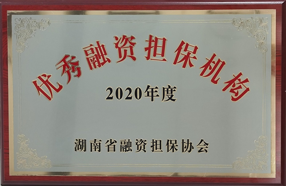 2020年度優(yōu)秀融資擔保機構(gòu)