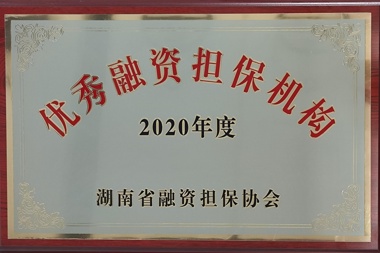 2020年度優(yōu)秀融資擔保機構(gòu)