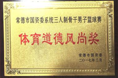 2017年常德市國資委三人制骨干男子籃球賽體育道德風(fēng)尚獎