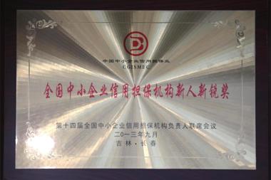 2013年全國中小企業(yè)信用擔(dān)保機(jī)構(gòu)新人新銳獎(jiǎng)