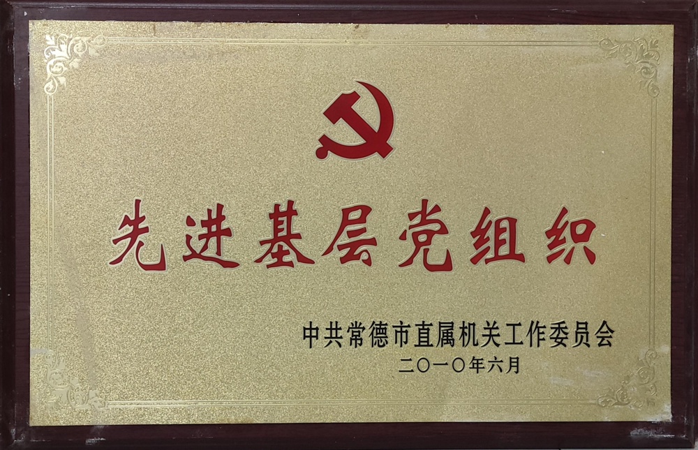 2010年先進基層黨組織