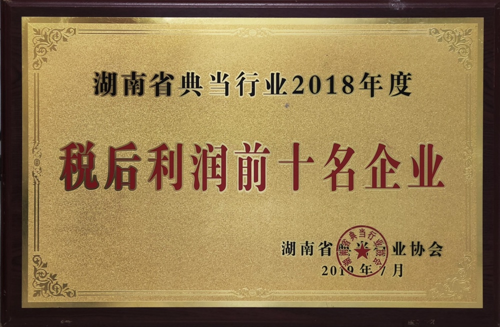 湖南省典當(dāng)行業(yè)2018年度稅后利潤(rùn)前十名企業(yè)