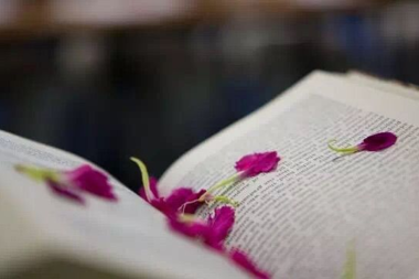 【書香·財(cái)鑫】 一盞茶·一本書·我們一起讀書